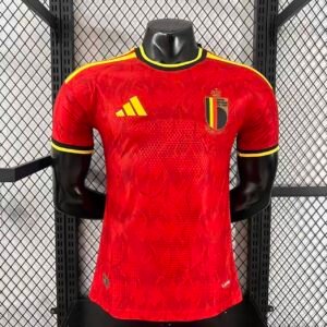 Belgium home